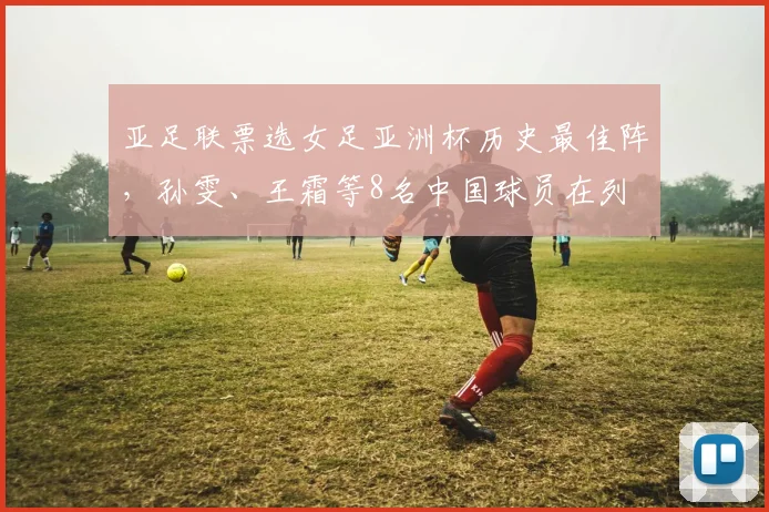 亚足联票选女足亚洲杯历史最佳阵，孙雯、王霜等8名中国球员在列