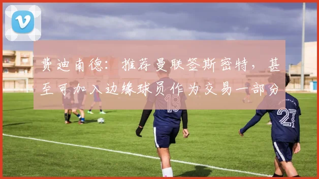 费迪南德：推荐曼联签斯密特，甚至可加入边缘球员作为交易一部分